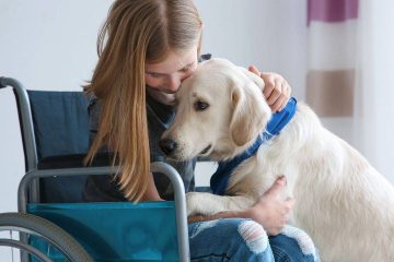 Σκύλοι – θεραπευτές απαλύνουν τον πόνο παιδιών με καρκίνο