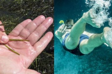 Βρώμικη θάλασσα: Πώς θα καταλάβουμε αν τα νερά που κολυμπάμε είναι καθαρά ή βρώμικα