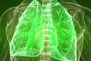 Πνεύμονες: Οι τροφές που συμβάλλουν στην ομαλή λειτουργία τους